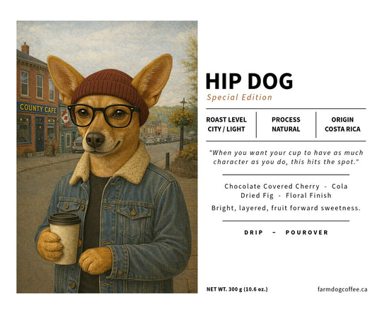 Hip Dog (Special Edition) | City-Light Roast (Costa Rica Natural)