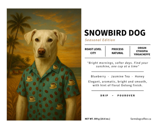 Snowbird Dog (Seasonal Edition) | City Roast (Ethiopia Yirgacheffe Natural)