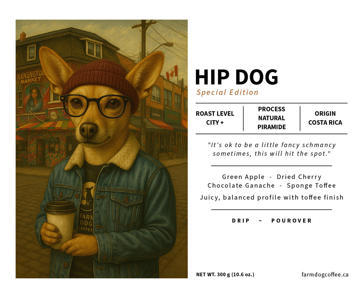 RETIRED: Hip Dog (Special 2025 Edition) | Medium Roast (Costa Rica Natural Piramide)