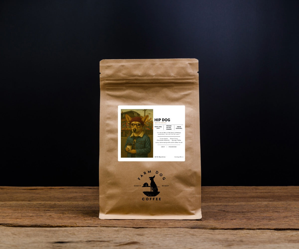 RETIRED: Hip Dog (Special 2025 Edition) | Medium Roast (Costa Rica Natural Piramide)