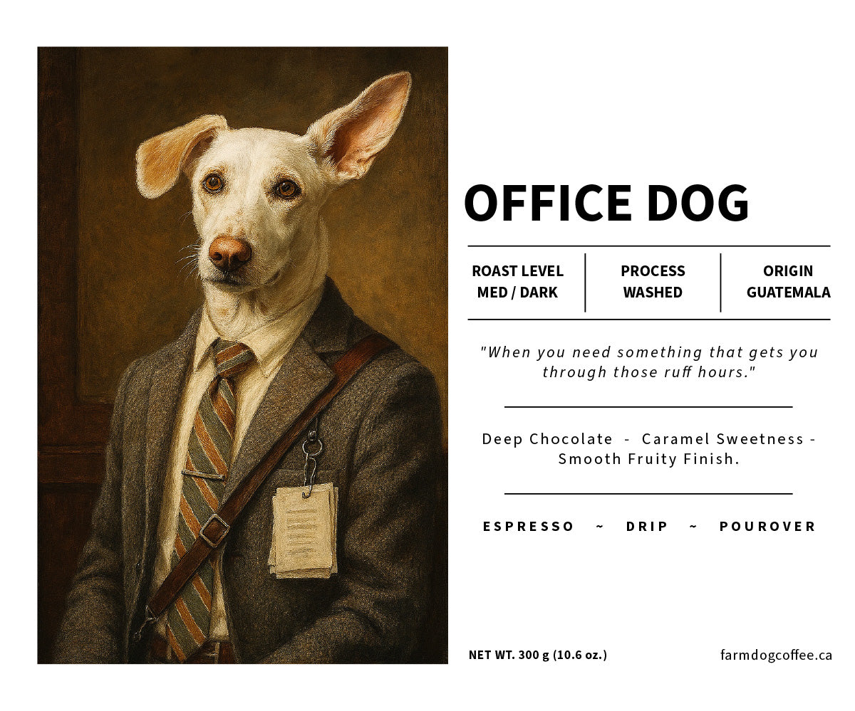 Office Dog | Medium-Dark Roast (Guatemala Washed) – Farm Dog Coffee